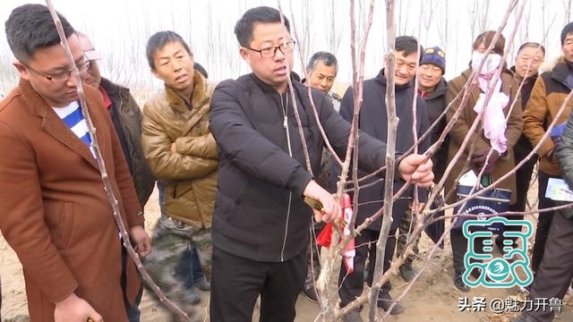 开鲁县东风镇：发展果品经济林 促进农民增收-2.jpg