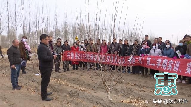 开鲁县东风镇：发展果品经济林 促进农民增收-1.jpg