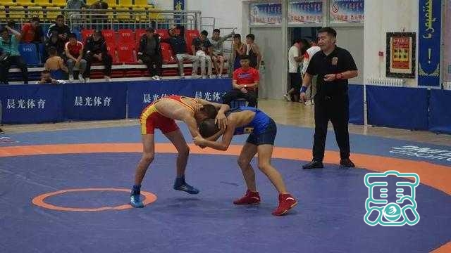 首届“乌珠穆沁杯”全区青少年自由式摔跤邀请赛在西乌旗举行-8.jpg