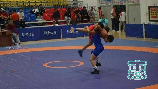 首届“乌珠穆沁杯”全区青少年自由式摔跤邀请赛在西乌旗举行-9.jpg