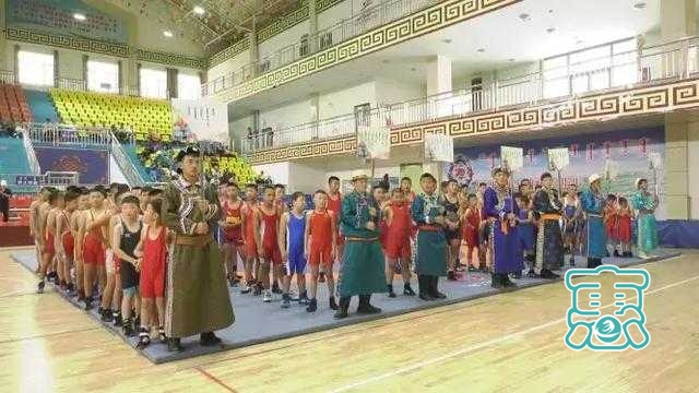 首届“乌珠穆沁杯”全区青少年自由式摔跤邀请赛在西乌旗举行-4.jpg