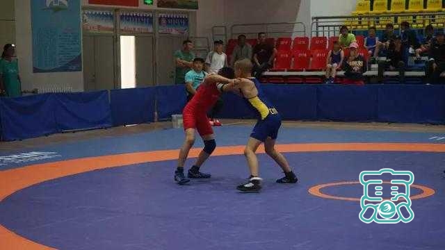 首届“乌珠穆沁杯”全区青少年自由式摔跤邀请赛在西乌旗举行-6.jpg