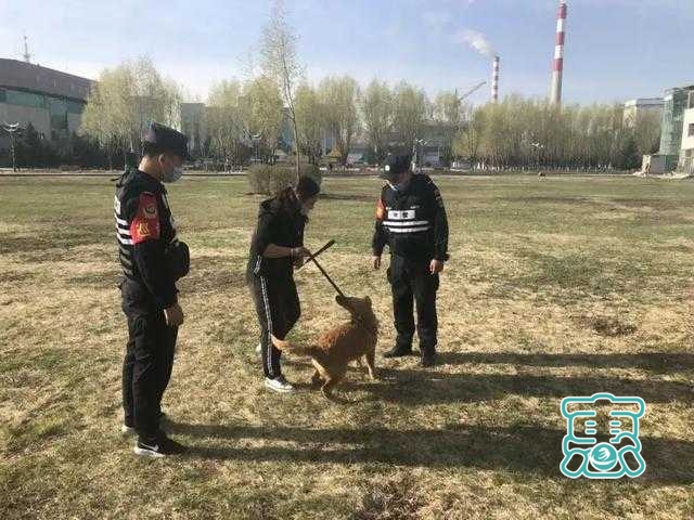 霍林郭勒市公安局深入开展文明养犬宣传活动-2.jpg