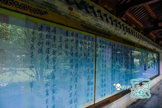 杭州“最舒适”景区，乾隆御诗藏进茶园里，人少景美很清幽-4.jpg