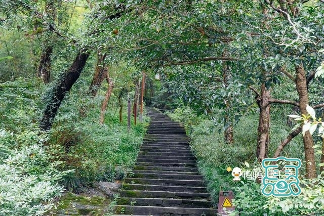 杭州“最舒适”景区，乾隆御诗藏进茶园里，人少景美很清幽-8.jpg