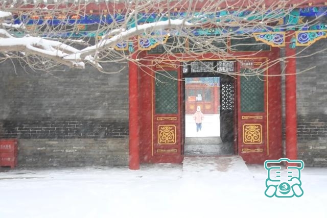 雪中的温柔—奈曼景区冬日雪景-2.jpg