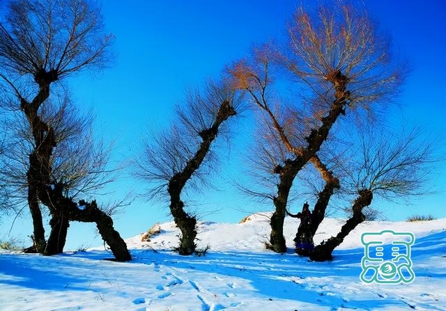 雪中的温柔—奈曼景区冬日雪景-23.jpg