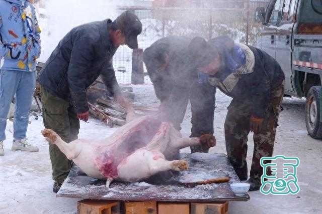 内蒙古美食介绍：通辽、赤峰一带农村的杀猪菜-2.jpg