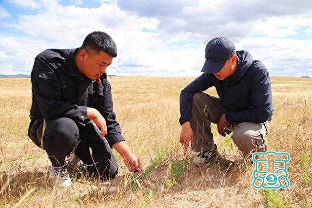 扎鲁特旗：优化升级草原生态建设 筑牢北疆安全生态屏障-2.jpg