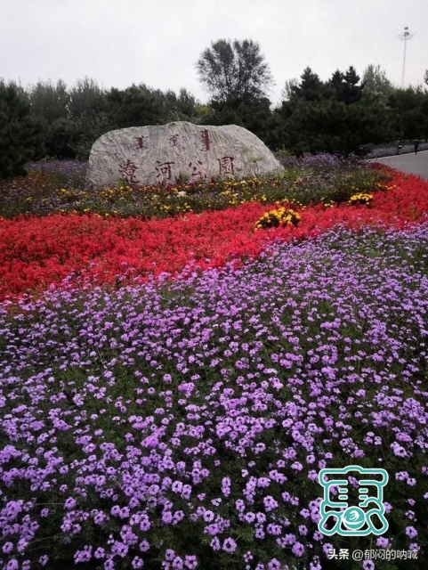 我的城事3——辽河公园通辽市的靓丽风景线-1.jpg