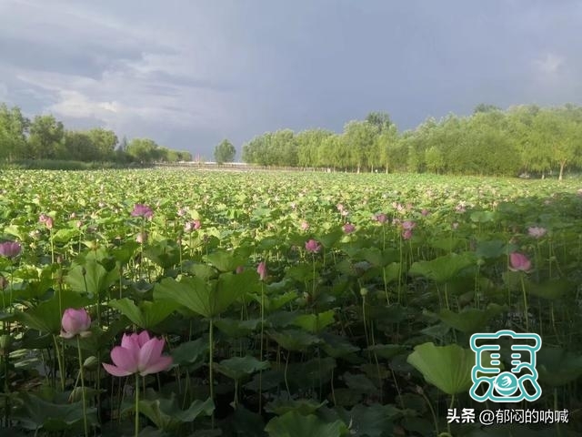 我的城事3——辽河公园通辽市的靓丽风景线-14.jpg